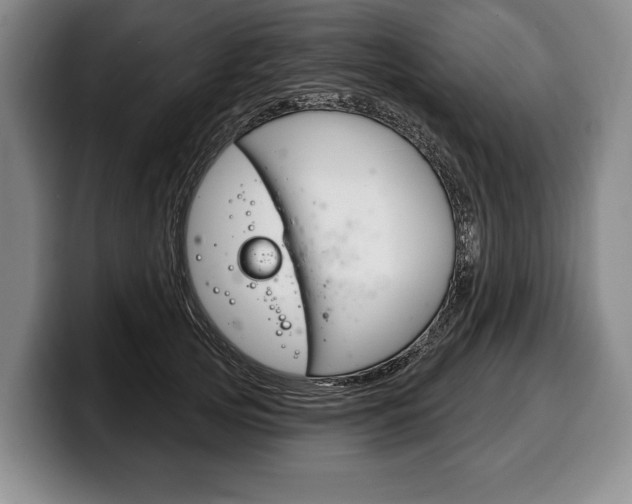 X0000100330753200806051203