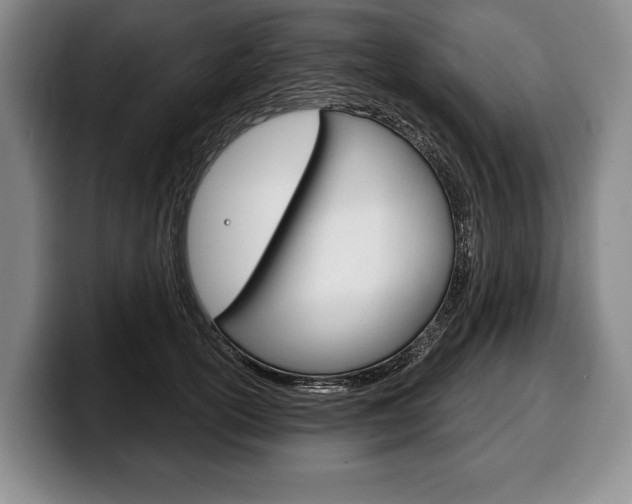 X0000100330754200806051203