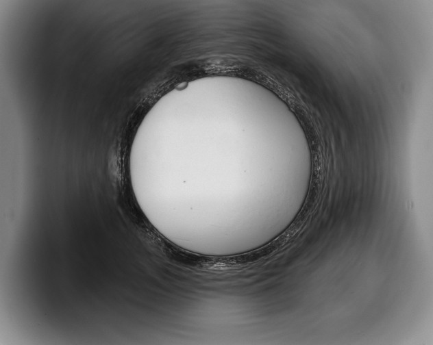 X0000100330755200806051203