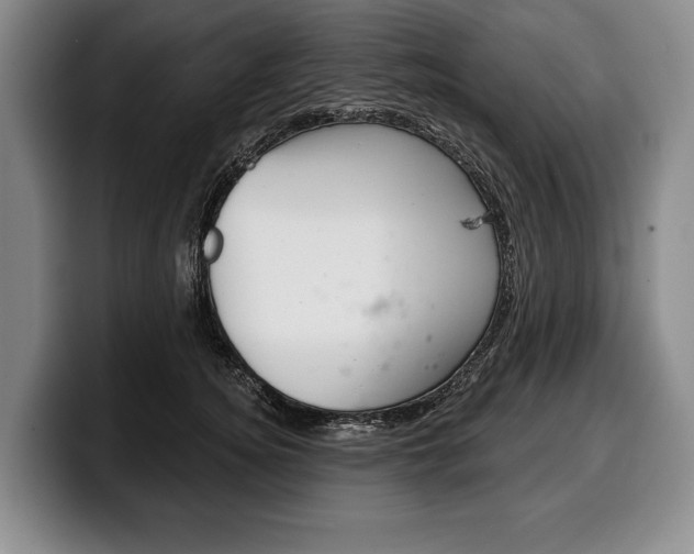 X0000100330756200806051203