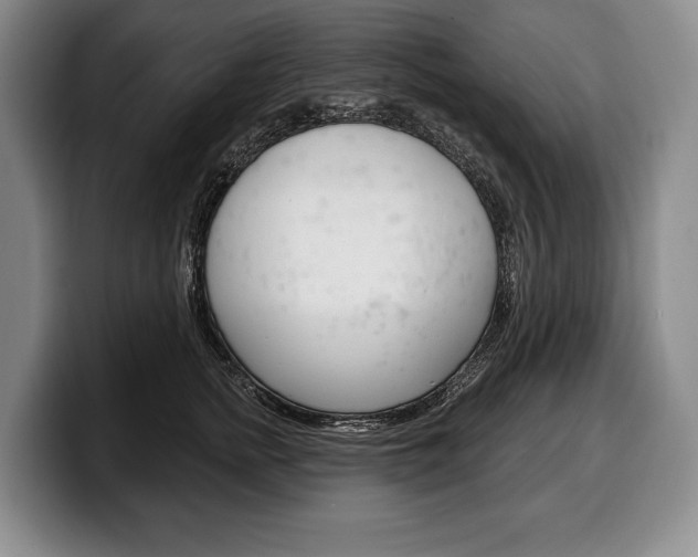 X0000100330758200806051203