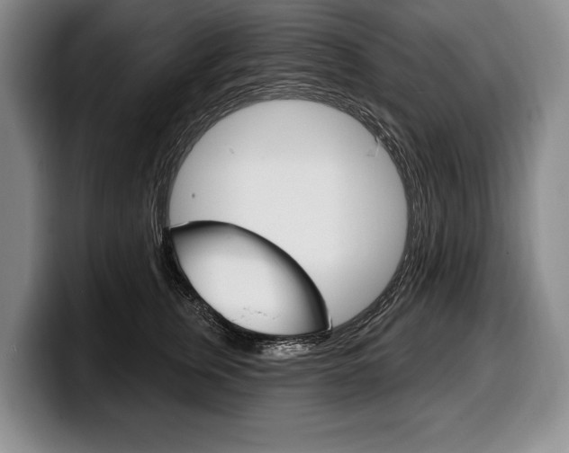 X0000100330759200806051203