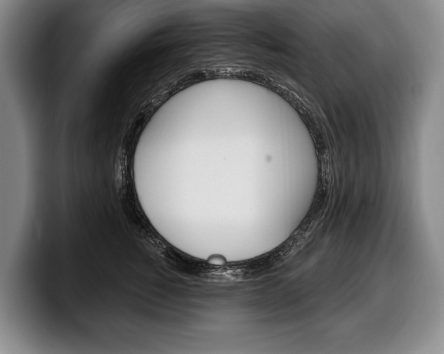 X0000100330760200806051203
