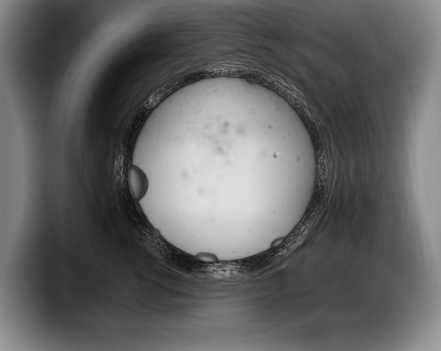 X0000100330762200806051203