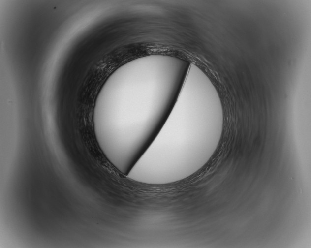 X0000100330763200806051203