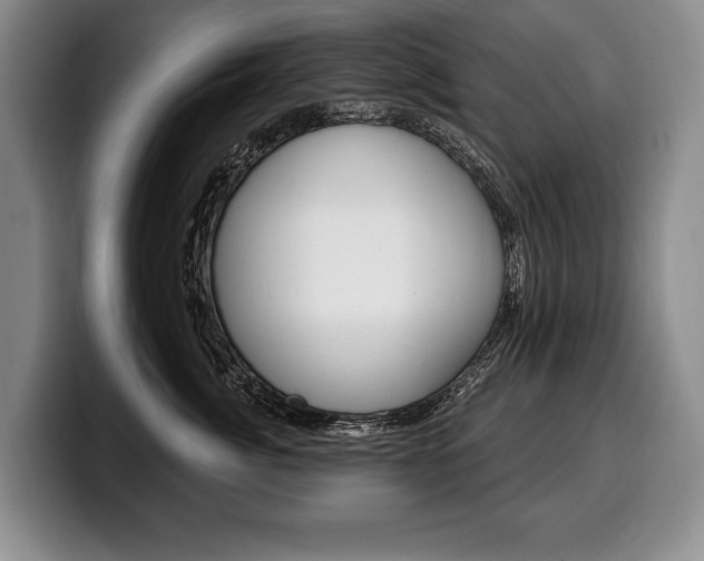 X0000100330764200806051203
