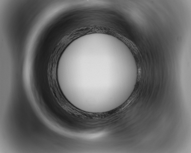 X0000100330765200806051203