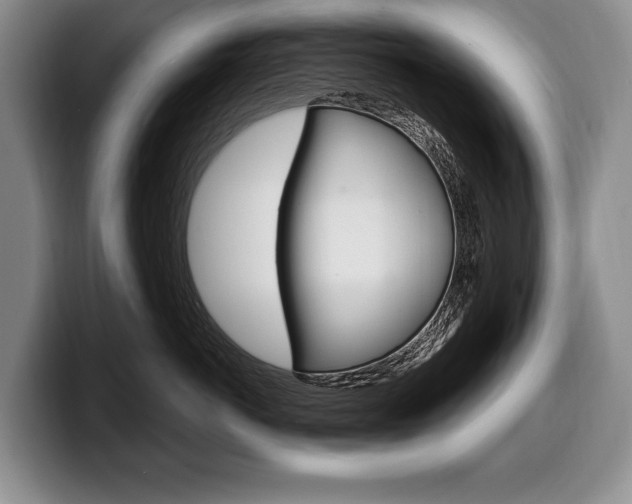 X0000100330766200806051203