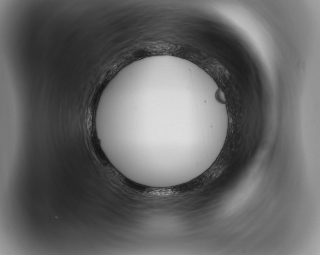 X0000100330767200806051203