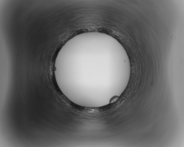 X0000100330768200806051203