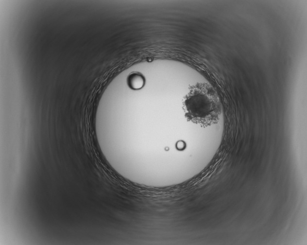 X0000100330769200806051203
