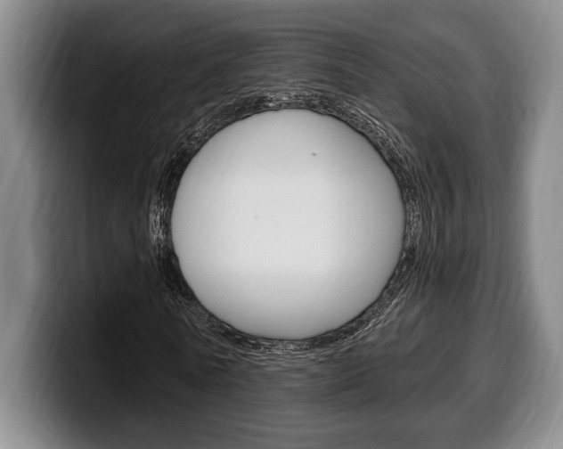 X0000100330770200806051203