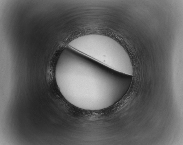 X0000100330772200806051203