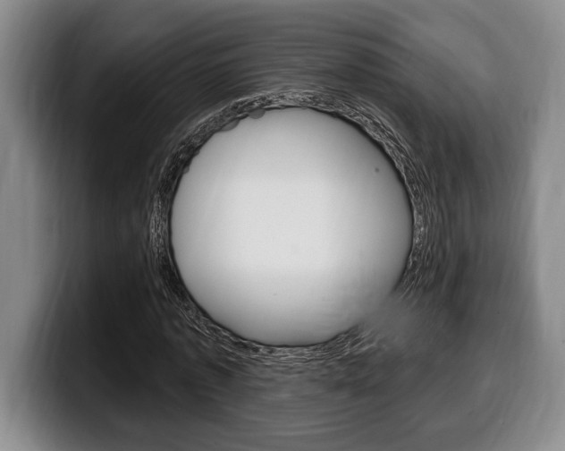 X0000100330773200806051203