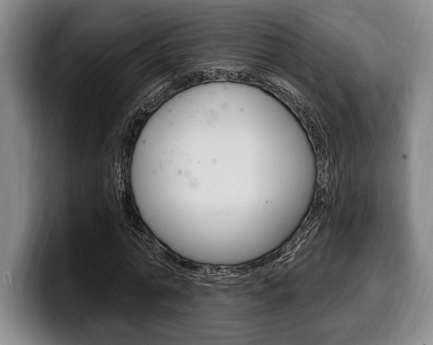 X0000100330774200806051203