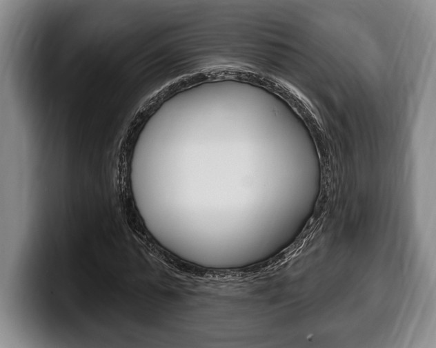 X0000100330775200806051203