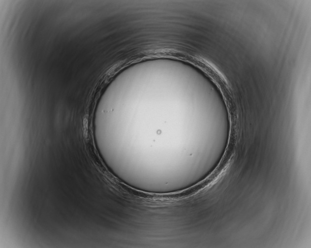 X0000100330777200806051203