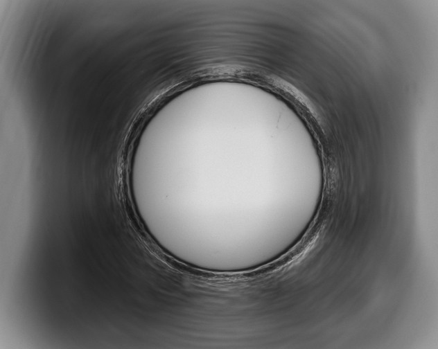 X0000100330778200806051203