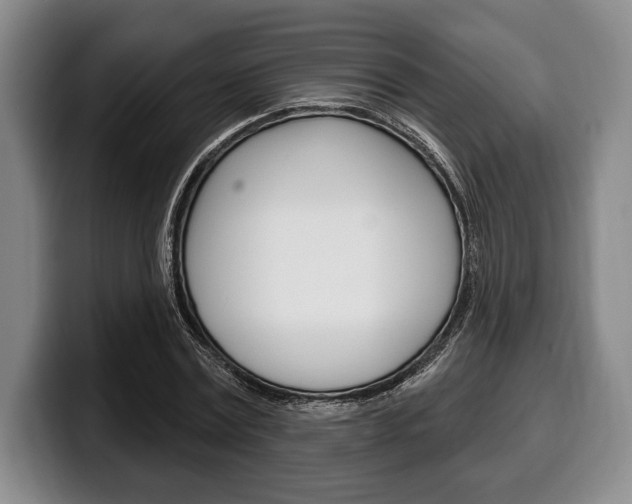 X0000100330779200806051203