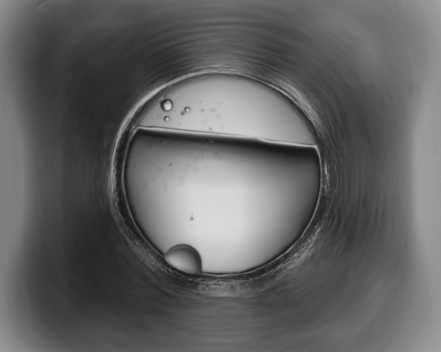 X0000100330780200806051203