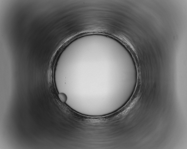 X0000100330781200806051203