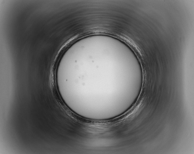 X0000100330782200806051203