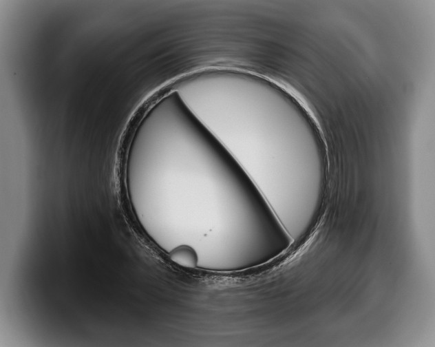 X0000100330783200806051203
