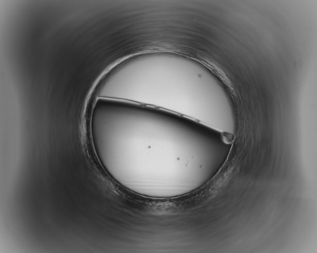 X0000100330784200806051203