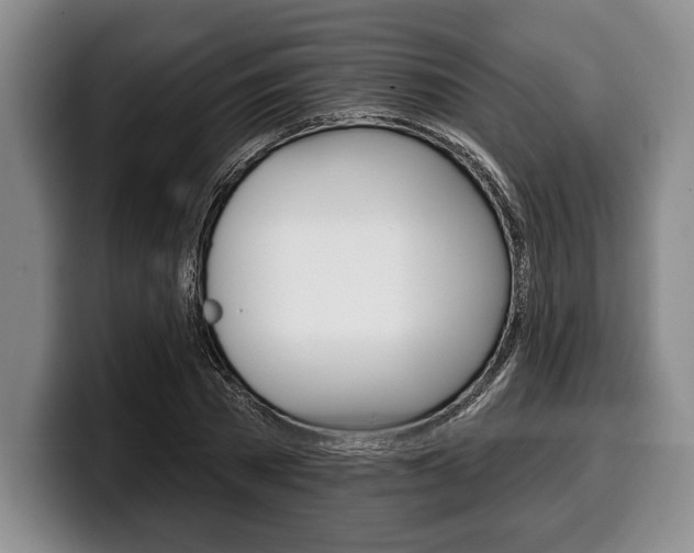 X0000100330785200806051203