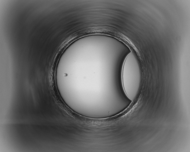 X0000100330786200806051203