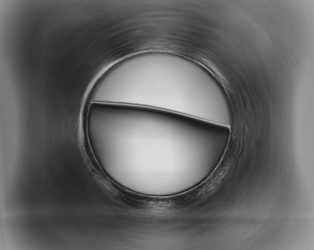 X0000100330788200806051203