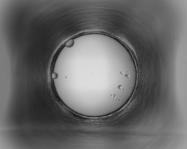 X0000100330789200806051203