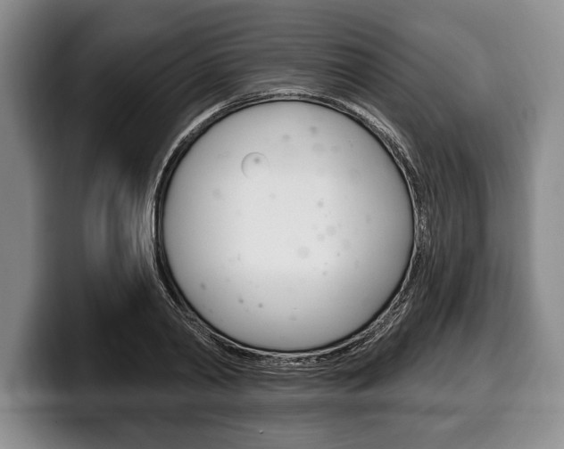 X0000100330790200806051203
