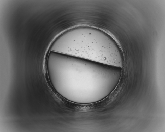 X0000100330791200806051203