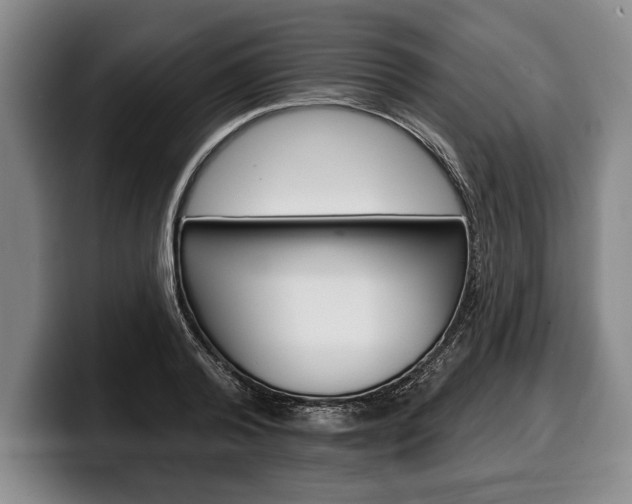 X0000100330792200806051203