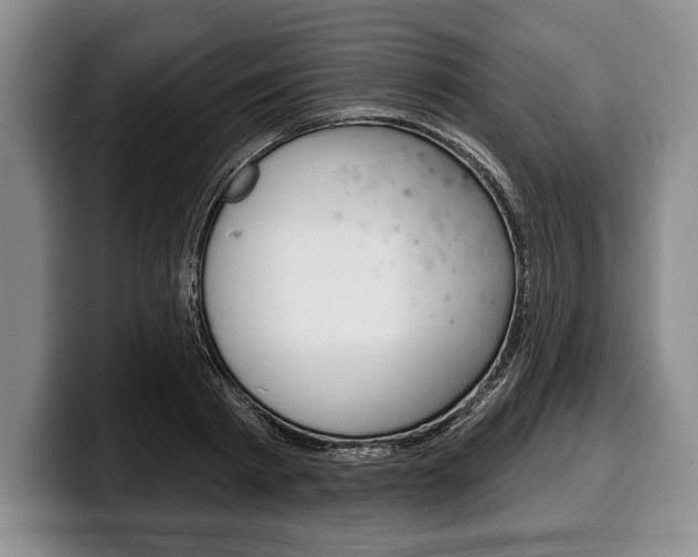 X0000100330793200806051203