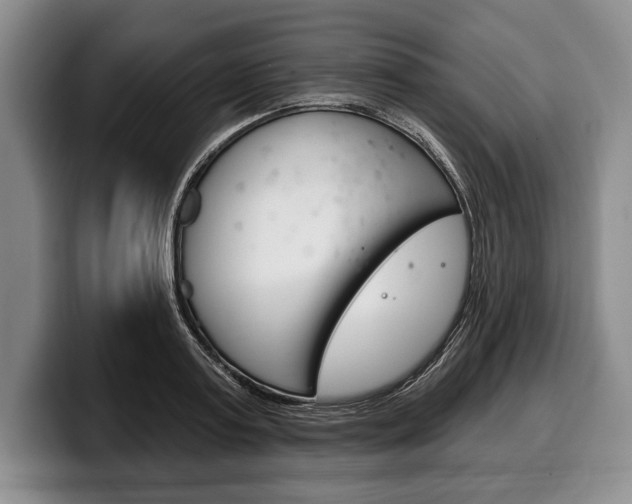 X0000100330795200806051202