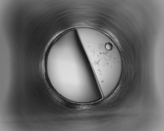 X0000100330796200806051202