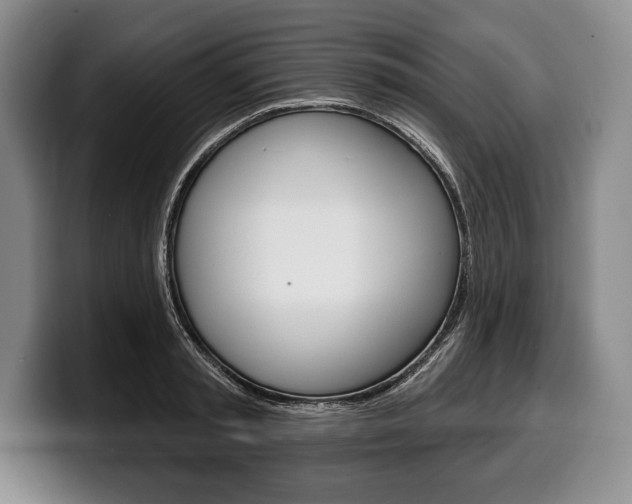 X0000100330797200806051202