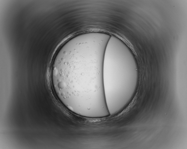X0000100330798200806051202