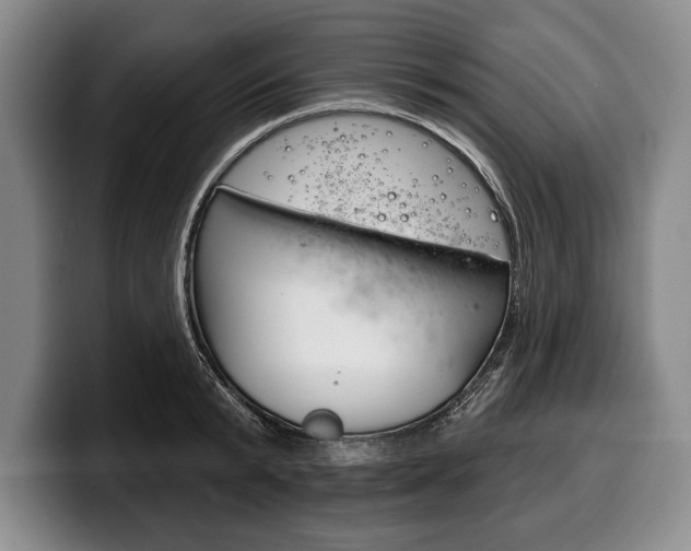 X0000100330799200806051202