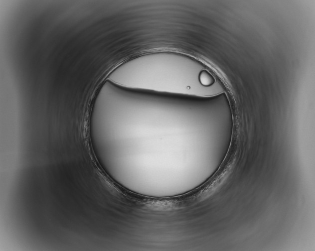 X0000100330801200806051202
