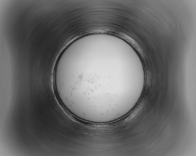X0000100330802200806051202