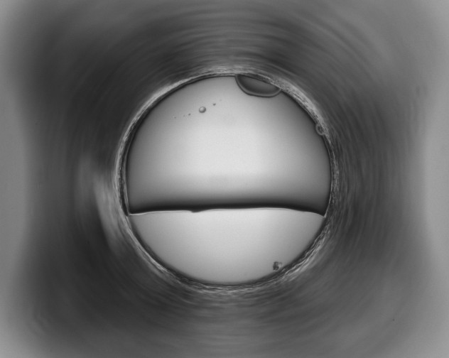 X0000100330803200806051202