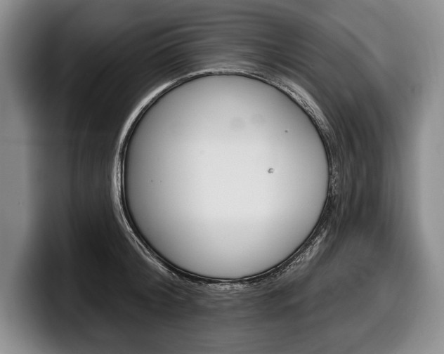 X0000100330804200806051202