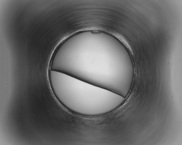 X0000100330805200806051202