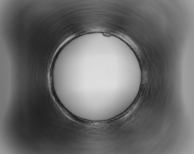 X0000100330806200806051202