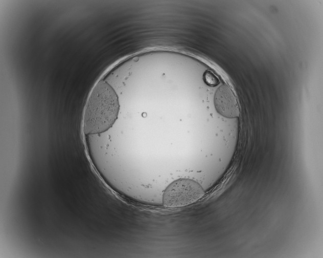 X0000100330807200806051202