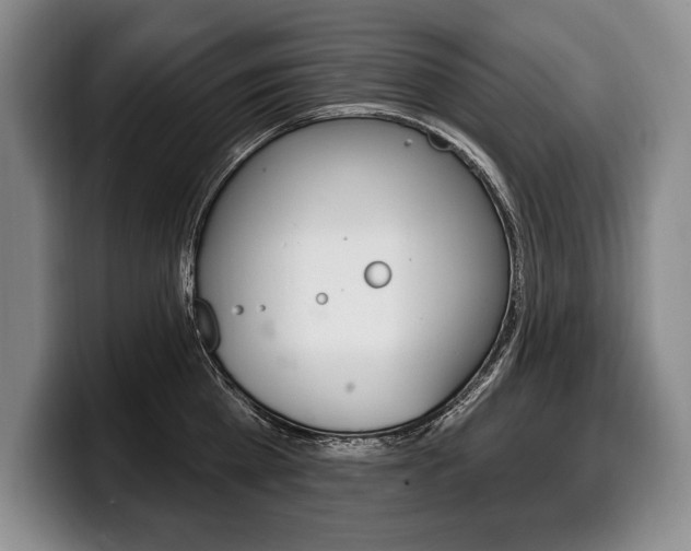 X0000100330809200806051202