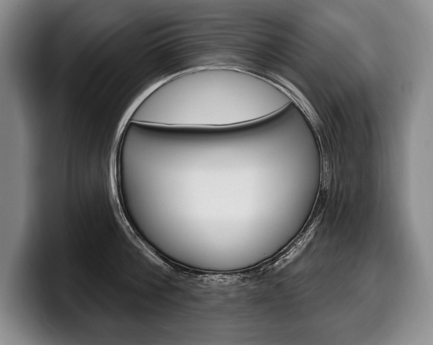 X0000100330812200806051202